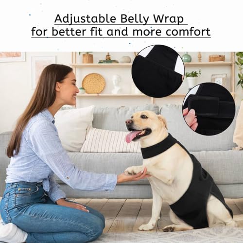 Image of Lelepet Female Dog Diapers with Suspenders, Washable & Reusable Black S | Adjustable and absorbent dog diapers for heat cycles, incontinence, and senior dogs. Comfortable all-day fit. Pet panties