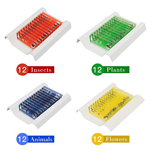 Diy-Science BIOLOGY-PS-PLASTIC-48PCS 48 Prepared Microscope Slides Set Of Animals Insects Plants Flowers thumb #1