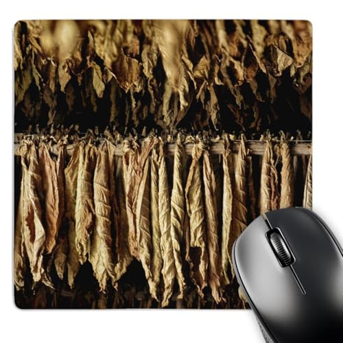 3D Rose 'Dry Tobacco Leafs in A Plantation in Pinar Del Rio in Cuba' Matte Finish Mouse Pad - 8 x 8' - mp_219791_1