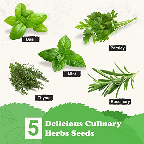 Meekear 5HHL02 Indoor Herb Garden Starter Kit thumb #2