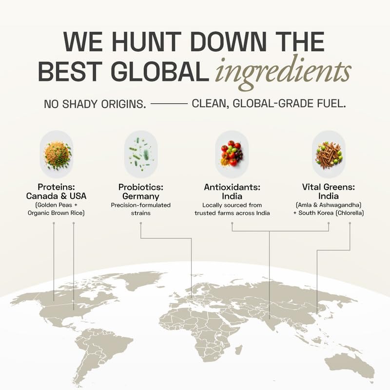 Image of Ace Blend Daily 20G Plant Protein (60 Servings)| Pea & Brown Rice Isolate | 3 Vital Greens 4 Antioxidants 3 Probiotics | Boosts Strength, Recovery, Fat Loss | No Added Sugar | Unisex | Vanilla Flavour