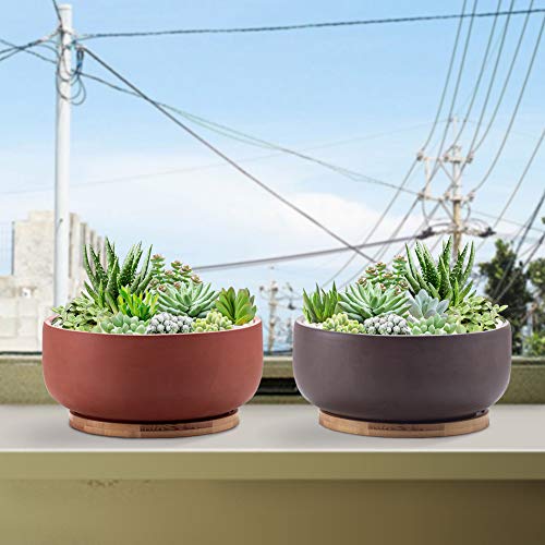 Epfamily Terracotta Shallow Succulent Planter, 8 Inch Planter Pot With Bamboo Tray, Clay Flower Pot Indoor And Outdoor Planter With Drainage Hole, Terracotta #TOP5