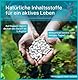 EMASEX L-Arginin. 90 Kapseln hochdosiert für Männer. Booster für Testosteron & Potenz nach Schweizer Formel. Vegan, mit Folsäure, Vitamin B6 & B12. Für Vitalität, Blutdruck & Durchblutung