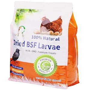5lbs Dried Black Soldier Fly Larvae for Chickens – 100% Natural BSF Larvae More Calcium Than Dried Mealworms – High Protein BSFL Chicken Treats for Laying Hens Ducks Birds
