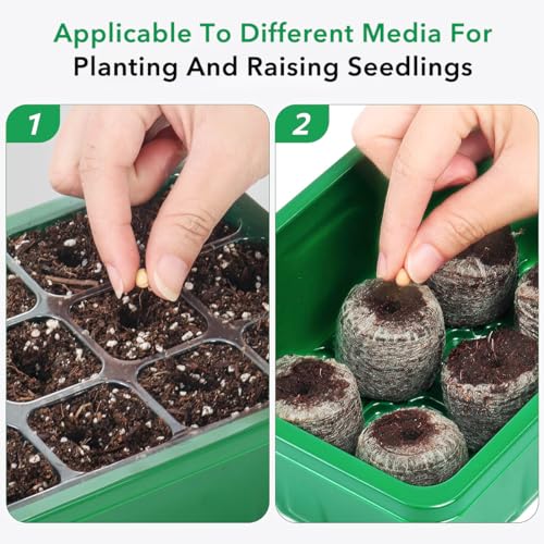 Image of HASTHIP 5Pcs Germination Tray Seed Germination Tray Plastic Seedling Plant Grow Tray Kit with Lid, Seed Starter Microgreen Growing Trays with 12 Cell Seedling Tray Tools