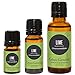 Edens Garden Lime Essential Oil- 100% Pure Premium Grade, Undiluted, Natural, Therapeutic, Aromatherapy, The Best for Diffuser, Candle, Laundry, Kid Safe 10 ml (.33 fl oz)