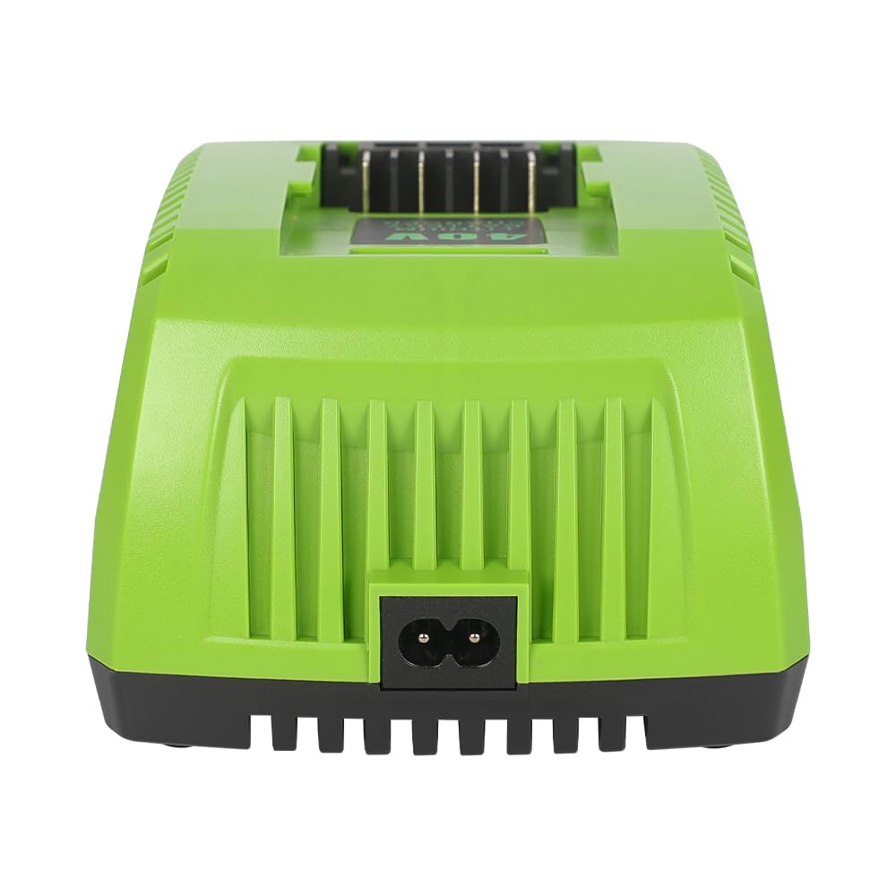 Chargeur de batterie de rechange 40 V 2 A compatible avec Greenworks 40 V Batterie lithium-ion 29482 29962 29472 290139 299302 BAF702 L-300 BAF704 BAF705 G-MAX Power Tools 29252 20202 2222 62 kg
