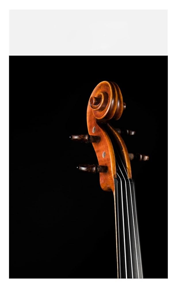 珍しい 、美しいデザインの 手作り バイオリン 51uMwoYdRZL.jpg_BO30,255,255,