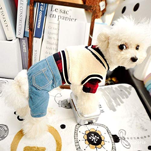 [SeitenFB]yp2_Zbgz`FbNfjWPbgpcȂ RX`[ Up hbOEFA ybg  m A-XL