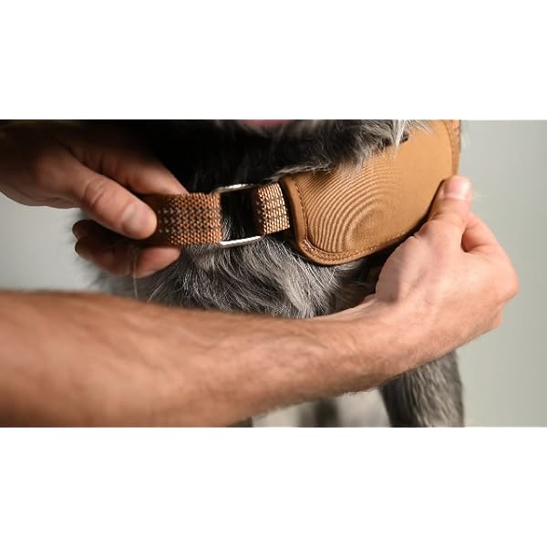 Carhartt Nylon Duck Training Dog Harness, Carhartt Brown, Large