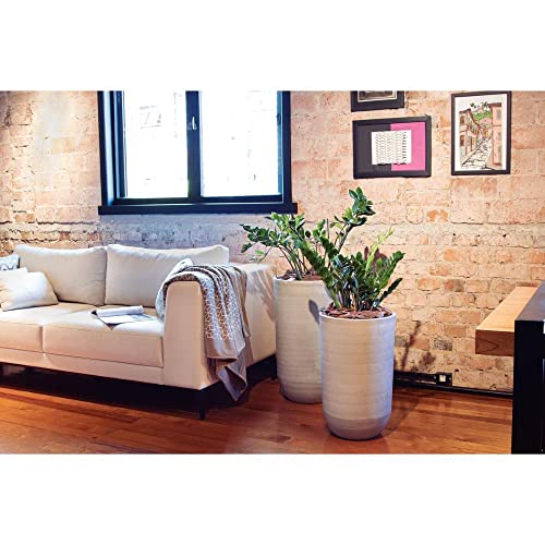 Tramontina CASCA PINUS G 8KG