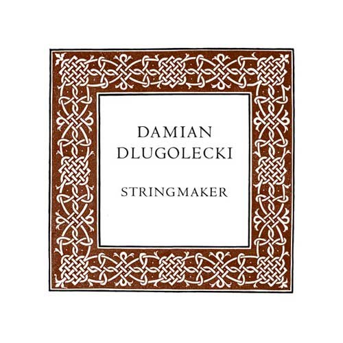 Damian DLUGOLECKI Violasaite C 22