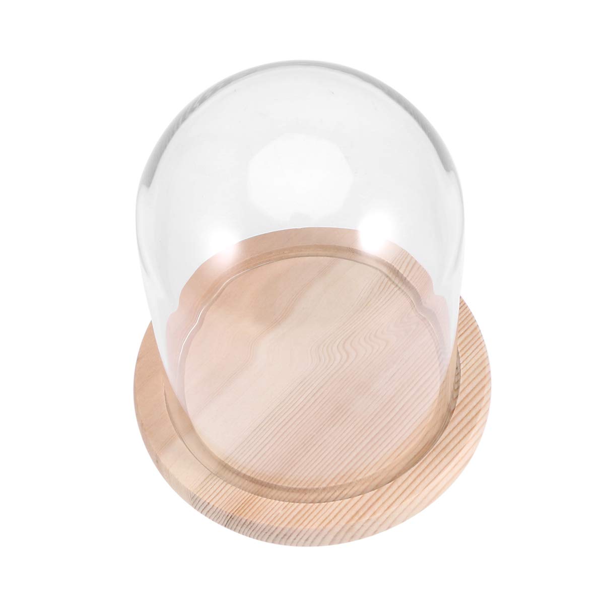 BESPORTBLE Display Cloche Dome Glass Dome Cloche with Wooden Base Antique Bell Jar Display Dome for Plants Succulents Fairy Lights Photos Medals Decorative Fill Transparent Glass Cover