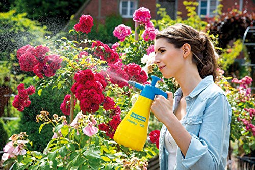 GLORIA Drucksprüher Hobby 100 | 1 L Sprühflasche mit Verstellbarer Düse | Gartenspritze für Garten, Balkon, Zimmerpflanzen & Anzucht | Handsprüher mit leistungsstarker Präzisionspumpe