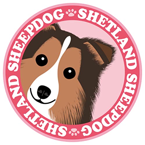 見つめる シェルティー セーブル 犬 ステッカー ピンクバック 丸型 Lサイズ MK-3