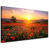 Durabilité - La toile de haute qualité de 260 g/m², tendue à la main sur un cadre solide de 2 cm d'épaisseur, garantit que Bilder Leinwand te servira pendant de nombreuses années, que tu l'accroches dans ta chambre, ta cuisine ou ton bureau. Disponible dans de nombreux formats, du petit format à la toile XXL.