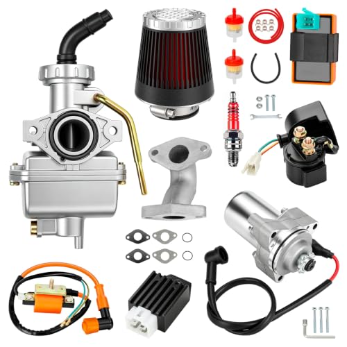 Image of PZ20 Carburetor & Starter Motor for Tao tao 110cc Coolster 125cc ATV
