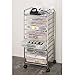 Multi-Use 10 Drawer Rolling Cart , Clear White and Chrome