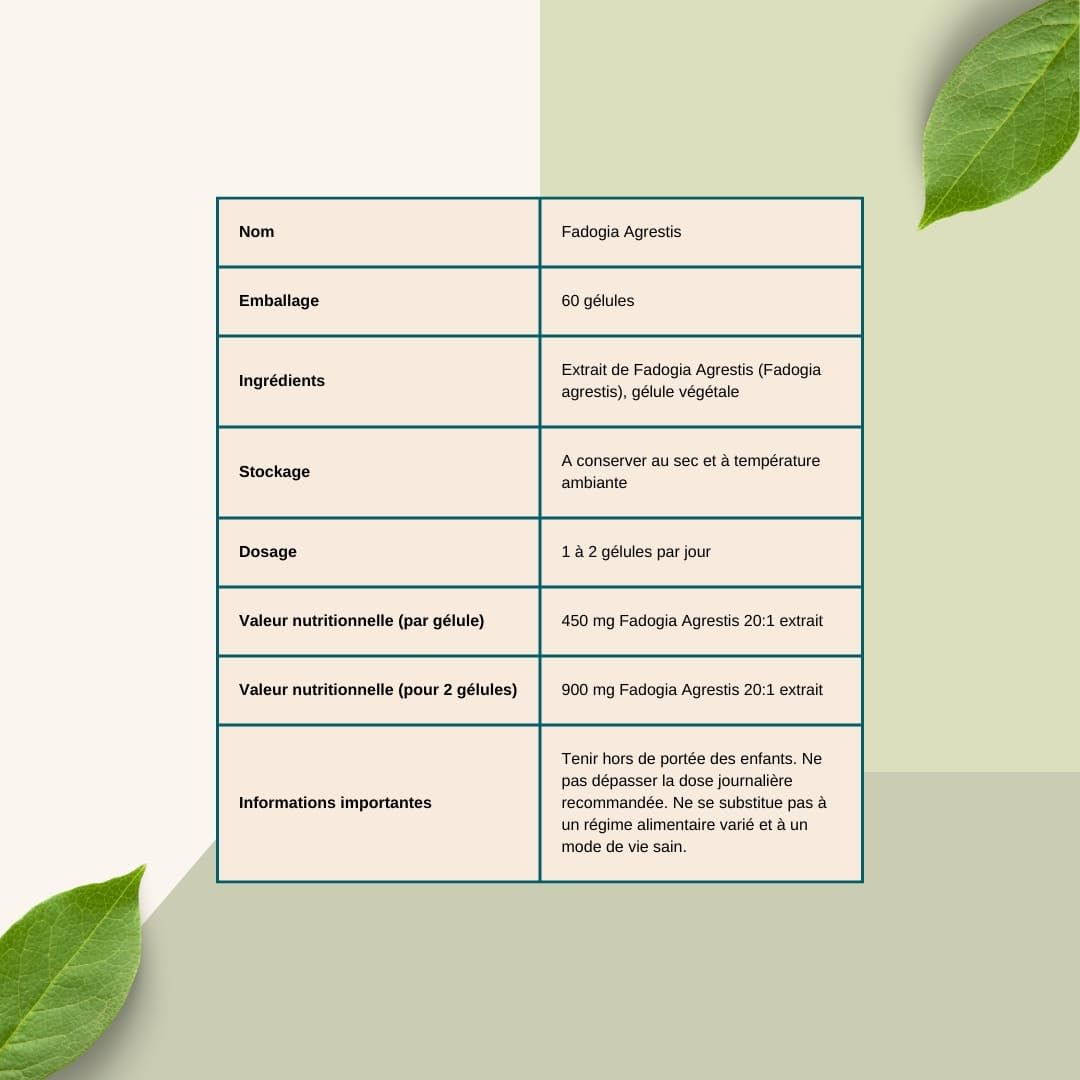 Fadogia Agrestis 450 mg * 60 Gélules - Extrait de Fadogia Agrestis hautement concentré : 450 mg par Gélule - Fadogia Agrestis Hommes - Soulagement de la douleur - Énergie et vitalité - Aphrodisiaques