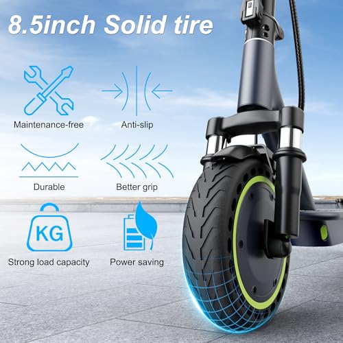 Roinside Electric Scooter Review