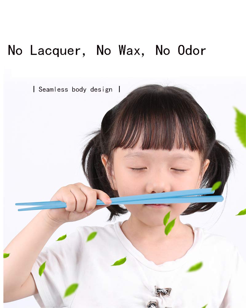 Colorful Fiberglass Chopsticks - Dishwasher Safe -5