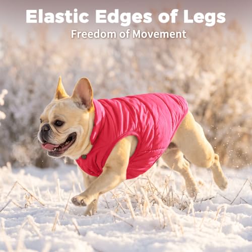 Image of JoyDaog Fleece Lined Dog Jacket for Small Dogs,Winter Dog Coat,Pink XS | Warm Windproof Puppy Vest for Cold Weather,Soft Cozy Doggie Clothes for Smaller Dog Breeds,Indoor Sleeping,Daily Walk