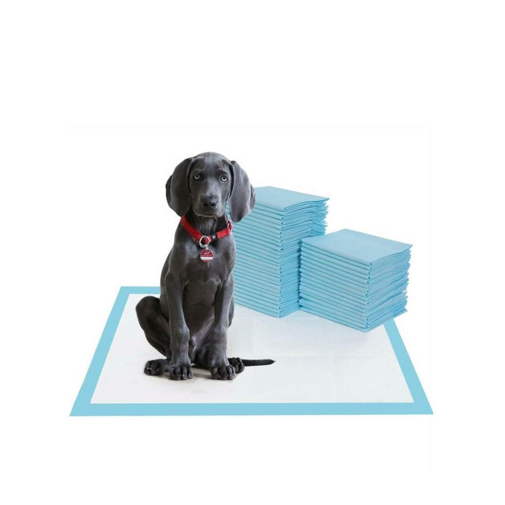 Multani Di Hatti Dog Training Pads/Training Pee and Potty Pads with Quick Drying Surface Training Pads 10 Piece Pet Training Pads for Dog and Puppy, Rapid-Dry-(90 x 60 cm) (B08X76TDQB) Amazon Price History, Amazon Price Tracker