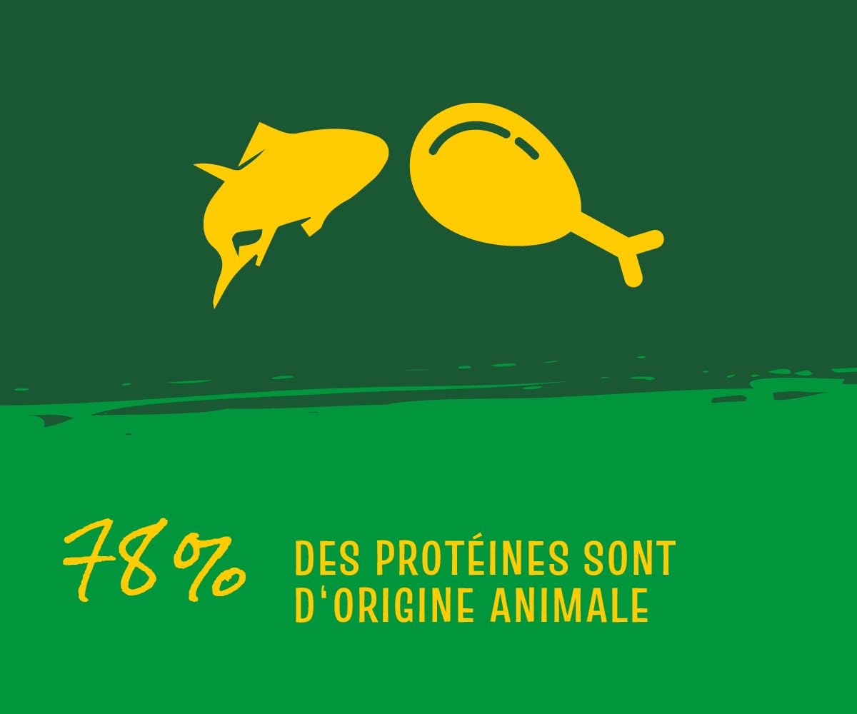 Josera JosiCat Crunchy Poulet