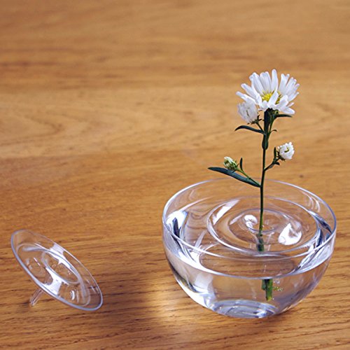 EsportsMJJ Clair Flottant Plante Vase Assiette Plat Creative Water Wave Verre Transparent Décoration De Bol