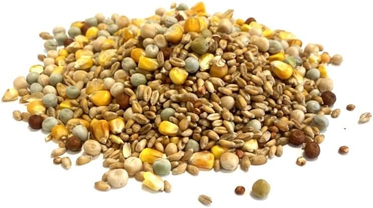Mixed Pigeon Corn 1.5kg Premium Quality Bird Food XLJ