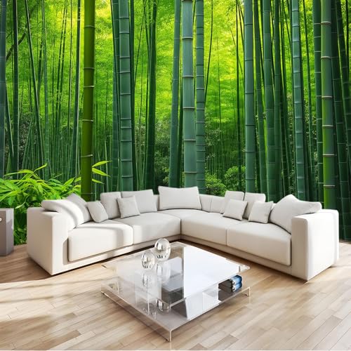 Papier peint photo nature bambou vert 400x280 cm pour mur de salon