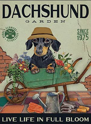 Dachshund Garden Vintage Look Reproduction Metal Sign Vintage Tin Sign 8X12 Inches