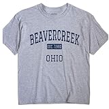GreatCitees Beavercreek Ohio T-Shirt EST Large Grey