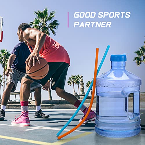 12 Pack, Extra Long 14.5 Inch Reusable Silicone Straws For Large Water Bottle -Wine Bottle - 1 Gallon 128 75 64 Oz Tumbler - Flexible Drinking Straws For Extra Tall Cups - 2 Cleaning Brushes #TOP5