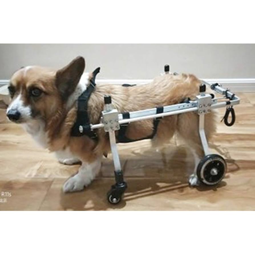 犬用車いす 小型犬向け 調整可能 Amazon.co.jp: ASELINE 犬用車椅子 歩行器 歩行補助 軽量 犬介護