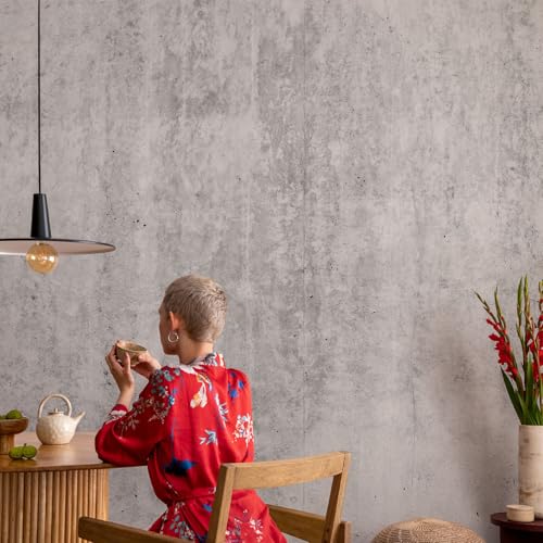 Fotomural moderno de hormigón para renovar la pared del salón y recibidor 4