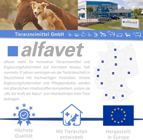 Alfavet ReConvales Energy, Doppelpack, in der Rekonvaleszenz, bei Untergewicht der Katze, hochkalorisch, appetitanregend, 2 x Glasflasche à 180ml, Diät-Ergänzungsfuttermittel