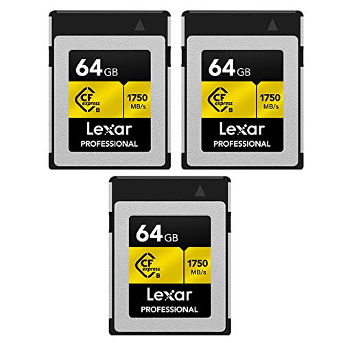 64gb cf lexar - Lexar Professional CFexpress Type B 64 GB Memory Card 3 Pack