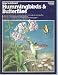 How to Attract Hummingbirds & Butterflies