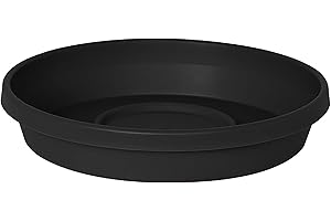 Bloem Terra Pot Round Drain Saucer - Large Plant Trays for Pots