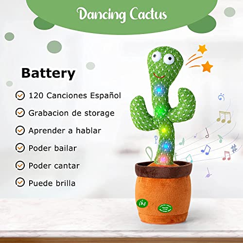 Listado y reviews de Cactus viejito precio los mejores 5. 9 Imagen adicional