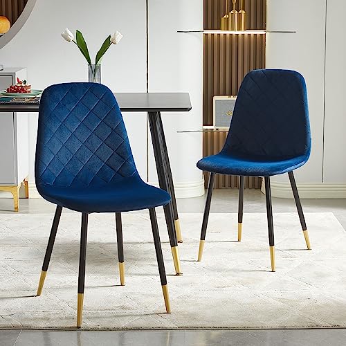 Luxury Velvet Dining Chairs Set