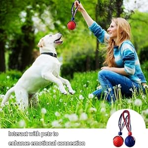 Pet Ball Dog Toy Ball Toy Dog Ball with Rope Pet Interactive Toy Rope Dog Ball Toy Throwing Toy Ball Small and Mediumsized Dogs Tough Rope Durable Dog Ball Tpr Rubber Ball ltq  Cucciolini Doodles Pet ball dog toy ball toy dog ball with rope pet interactive toy rope dog ball toy throwing toy ball small and medium sized dogs tough rope durable dog ball tpr rubber ball ltq   cucciolini doodles