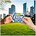 EXTRA Gum Peppermint, Sugar Free Chewing Gum Bulk Pack, 6 Ct/35 Stick