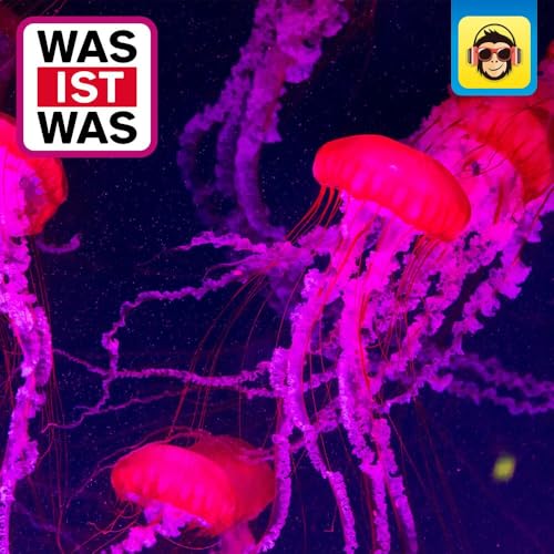 Quallen - alles nur Glibber?