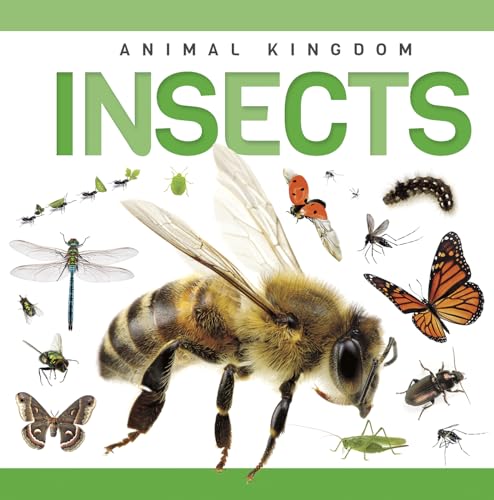 Insects (Genius Kid: Animal Kingdom)