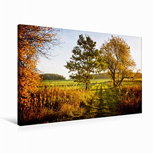 Preisvergleich Produktbild CALVENDO Herbststimmung