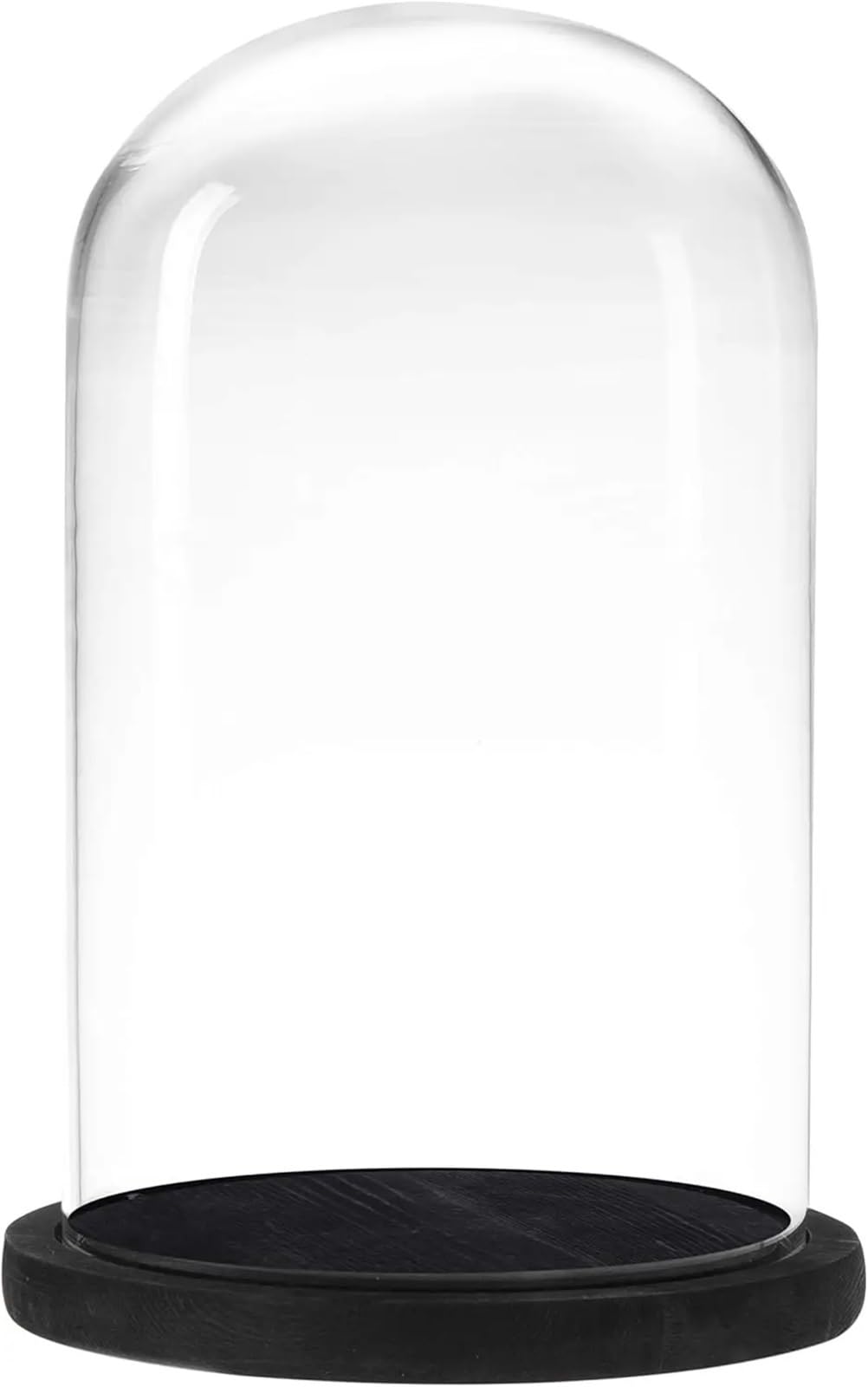 Cloche de présentation en verre haut de gamme et socle bois noir 25 cm