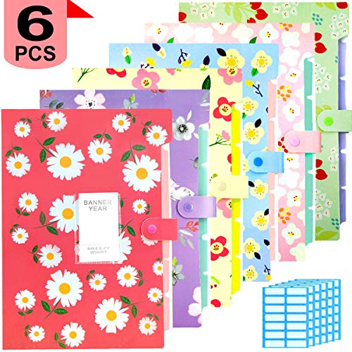 Expanding File Folder - 6 Pack Accordian File Organizer with 5 Pockets Document