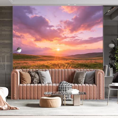 Papier peint sunset meadow panoramique 3D sur mesure pour deco salon - 4